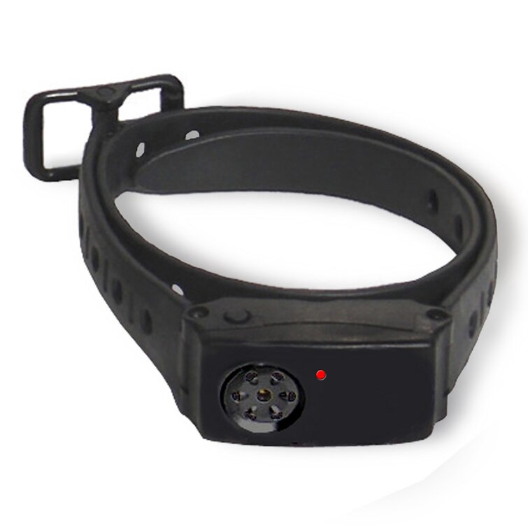 High tech pet on sale collar